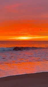 4.3K views · 321 reactions | This epic sunrise had it all! Brilliant colors, crashing waves and shorebirds…Enjoy!!! | Salisbury Sunrises | Facebook