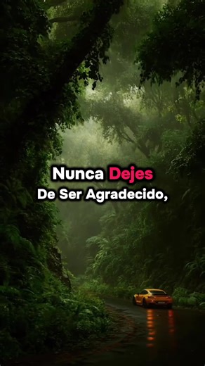 Ten Siempre Presente Esto #reflexionesdelavida #agradecido #creatorsearchinsights #raulabreureflexiones