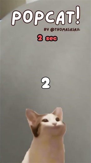 Pop Cat #memes #popcat #funny #shorts #trendingshorts #viral