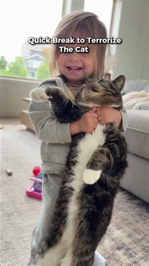 What My 2 Year Old Eats in a Day 🍎 | Realistic Toddler Meals