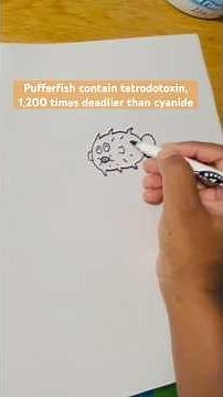 How To Draw Pufferfish Step By Step #easydrawing 😊