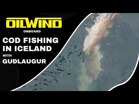 OILWIND onboard - Cod Fishing in Iceland with Guðlaugur