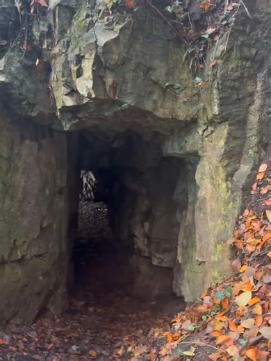 Have you walked through the Giant's Cave in the Wye Valley? One of the most dramatic features of the Wye Valley Walk, this cave was hewn out of the rock in the 18th Century to create this fantastic viewpoint over the River Wye. Found just north of Chepstow, Giant's Cave is one of the 'Picturesque Piercefield' viewpoints on the old Piercefield Estate. There's a few routes to reach it, either north from Chepstow Leisure Centre, south down the hill from the Lower Wyndcliff Car Park (near Eagle's Ne