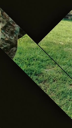 Daily Inspirational Quotes to Brighten Your Day