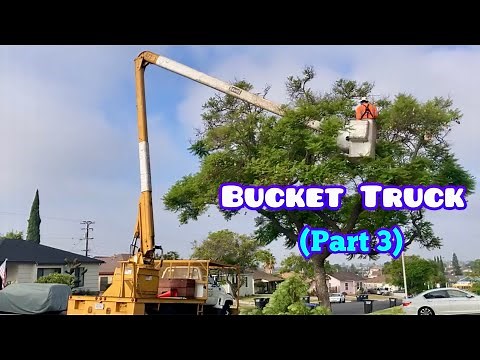 BUCKET TRUCK in Action (Part 3/20)｜Tree Trimming Crew (Tree Surgeon) At Work