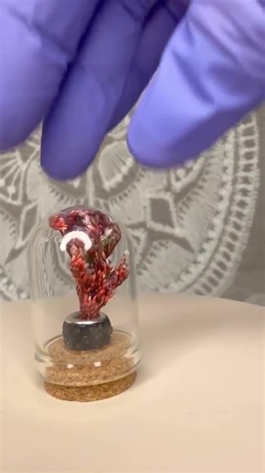 Tiny Bell Jar Terrarium W/ Sparkle Vase and Dried Flowers. 1.28" Tall - Etsy