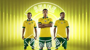 CAN 2015 : L'Afrique du Sud veut affronter la Tunisie