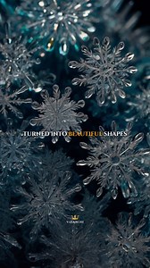 371K views · 36K reactions | Your words will shape your reality . ....