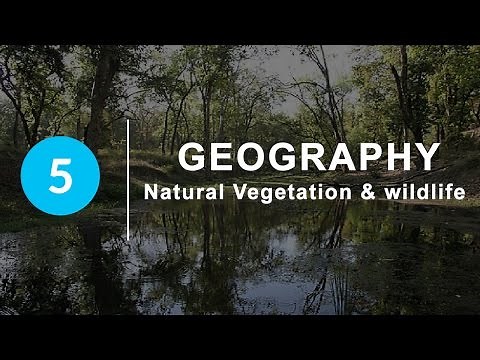 Natural Vegetation and Wildlife - Chapter 5 Geography NCERT class 9