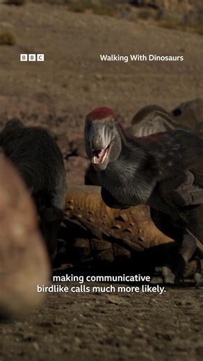 Birds and crocodiles – the closest living relatives of dinosaurs – can help scientists guess what sound a dinosaur would have made. #WalkingWithDinosaurs #Dinosaur #Dinosaurs The groundbreaking series returns. Stunning visual effects bring dramatic dinosaur stories to life, based on clues from extraordinary dig sites around the world. | BBC