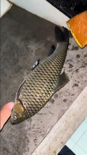 Best BASS FISHING LURES (for Beginners)