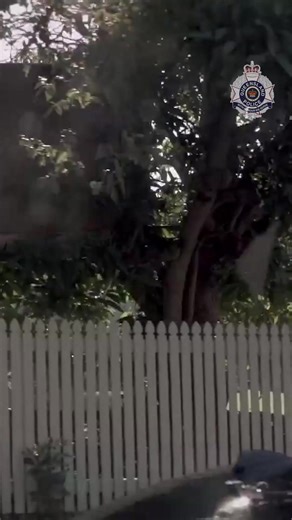 As Domestic and Family Violence Prevention Month ends, we want to remind anyone experiencing DFV: you are not alone, and support is available. DFV can affect anyone – regardless of age, gender, sexuality, background, beliefs, ability, or location. Speaking up can save lives. When we know, we can help. 🔗 https://mypolice.page.link/ePec #DFVPM2025 #endDFV | Queensland Police Service