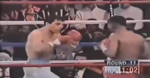 Pernell “Sweet Pea” Whitaker (January 2nd, 1964 – July 14th, 2019) 4 division world champion. undisputed at lightweight, and the lineal lightweight and welterweight champion. the 1989 Fighter of the Year (The Ring magazine and the Boxing Writers Association of America). P4P King from 93-97. holds the longest unified lightweight championship reign in boxing history at six title defenses. brilliant footwork. should be studied by southpaws to learn how to throw setup jabs and crosses. one of the mo