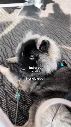 Our Memorable Vacation Experience