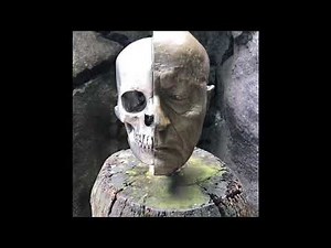 A comparison of human, chimpanzee and gorilla skulls