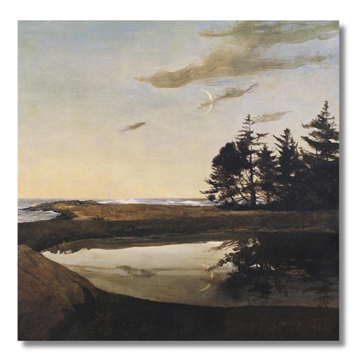 Andrew Wyeth Jupiter Print, American Realism Coastal Landscape Art Poster, Moody Night Sky Coastal Wall Art - Etsy