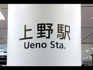 【4K乗換動画】上野駅 東京メトロ 日比谷線―新幹線ホーム 乗換え YI4＋で撮影４K60p