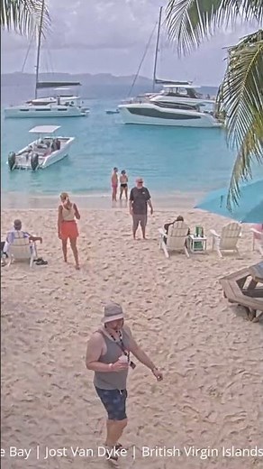 Epic Vibes at Soggy Dollar Bar, British Virgin Islands! 🌴