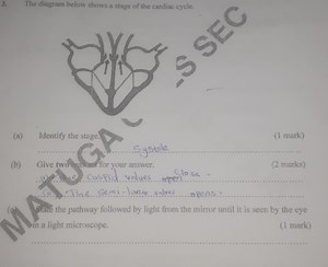 The diagram below shows a stage of the cardiac cycle.(a) Iden... | Filo