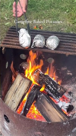 Campfire Cheesy Baked Potatoes 🏕️🪵🔥🧀 #sastirstories #camping #campinglife #campfirecooking