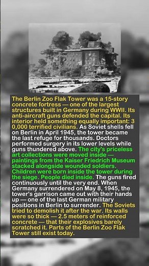 The Concrete Fortress: 30,000 Souls Trapped in the Berlin Zoo Tower