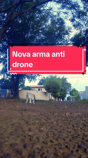 Nova arma anti drone e a reação do gato