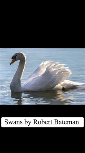 21K views · 1.6K reactions | The Paintings of Robert Bateman | Robert Bateman | Facebook