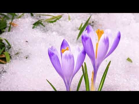 Il Respiro del Pratomagno #Pratomagno #MarkSoetebier #Tuscany #naturedocumentary