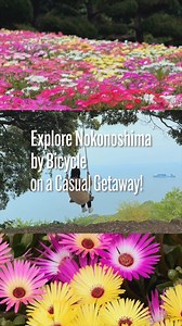 Explore Nokonoshima by Bicycle on a Casual Getaway! 🎵：Mellow Garden | Music•One Flower a Day #visitjapan #japan #fukuoka #cycling #japanesenature | Visit Fukuoka Japan