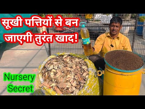 How to fast make Leaf Compost at home 🏡 🤔