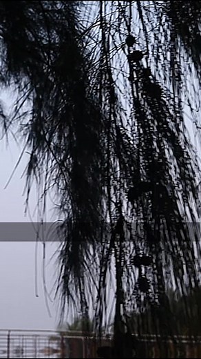 2.7K views · 94 reactions | Exploring BD on Reels | Facebook