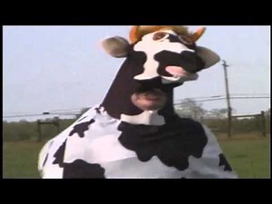 Jokes MAD COW DISEASE