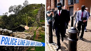 They Cut Down a Sycamore Tree. Now They Have a 4-Year Prison Term