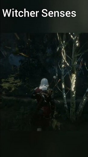 How to activate Witcher senses?