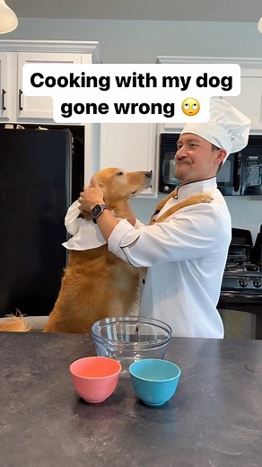 Chris & Nala on Instagram: "Ep.2 Cooking with Nala: hamburger fail ❌ Chef Nala demanded a promotion and a raise after the success of the last episode and threw a fit when she was denied both. #dog #goldenretriever #dogsofinstagram"
