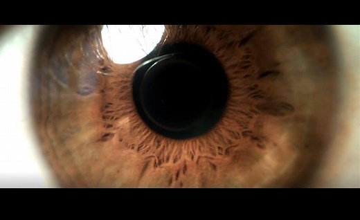 546K views · 5.4K reactions | Vous la voyez l'absurdité de notre monde ? Vous imaginez une autre société ? Vous aussi passez à l'action, rejoignez-nous ! Trouvez votre groupe local près de chez vous ici : https://extinctionrebellion.fr/branches/ | Extinction Rebellion France | Facebook