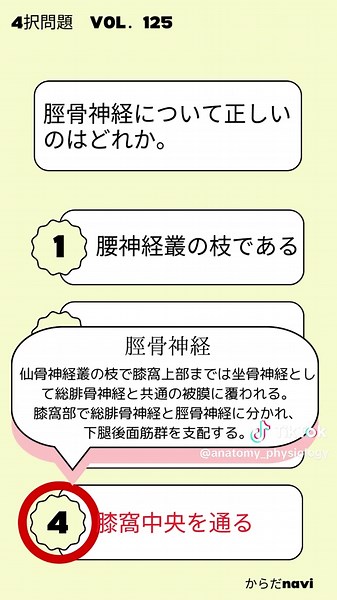 脛骨神経について正しいのはどれか。 #解剖生理学 #生理学 #解剖学 #柔道整復師 #国家試験 #理学療法士 #鍼灸師 #看護学生 #医療学生 #からだnavi