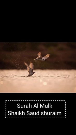 Surah Al Mulk by Shaikh Saud shuraim