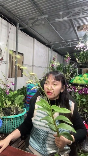 (Flower Reference) Hotline: 090.317.7978 ☎️☎️
