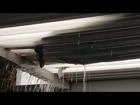 Raining in Johannesburg