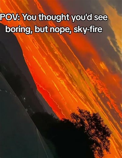 When the Colorado mountains hold their breath and the sky decides to ignite. 🌄🔥