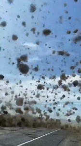 265K views · 3.5K reactions | ️ TUMBLEWEED TORNADO | Matt McKnight captured this video on Washington's Highway 240 near the Hanford site.  (Sound up!) Credit: Crosscut's Matt M. McKnight - Visual Storyteller & Journalist | KING 5 | Facebook