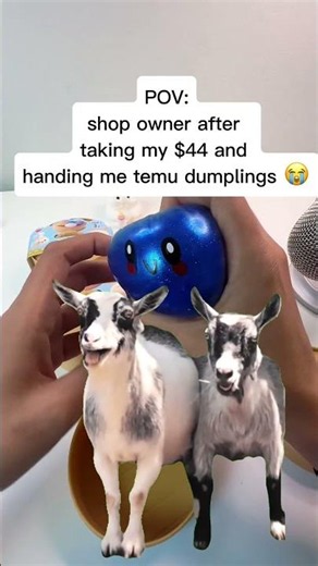 Finding Out My Rare Dumplings Might Actually Be Scam Squishies 😭💔