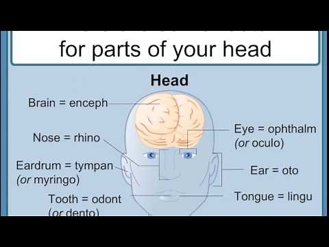 How to Interpret Medical terms : Understanding Medical Words a tutorial