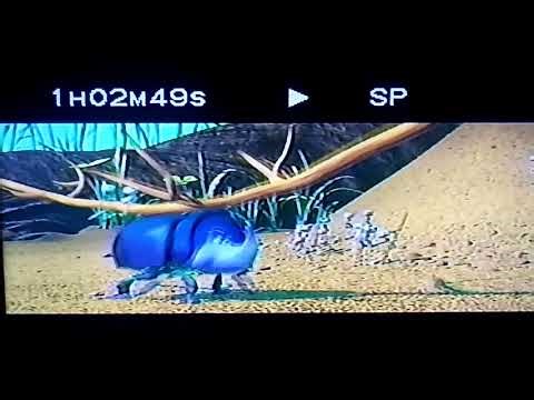 Building the fake bird part 1 🛠 (Widescreen)