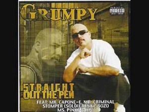 THE SYSTEM-GRUMPY(SOLDIER INK)