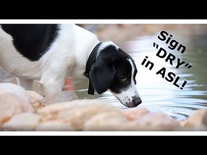 ASL & ESL: 6 meanings of DRY