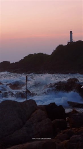 Sun, sand, and endless horizons! 🌊 Escape to the pristine shores of Sri Lanka, where every wave tells a story. 🌴 Get ready for a once in a lifetime experience with this once-in-a-lifetime tour. It takes you on an unforgettable journey of the blue beaches and clear waters of Sri Lanka. Ready for your next beach adventure? Let’s make it unforgettable with Apple Vacation! To contact Email : info@applevacations.com.co WhatsApp: 94 76 2816641 Web: applevacations.com.co Social Media #BeachVibes #Sri
