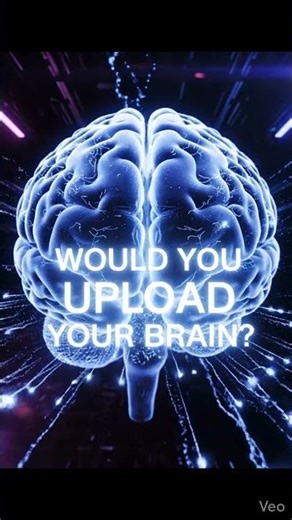 // DATA FRAGMENT 010.2 :: THE AUGMENTED DIVIDE🕵️‍♂️