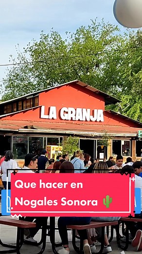 Que hacer en Nogales Sonora: Delicias y Diversión